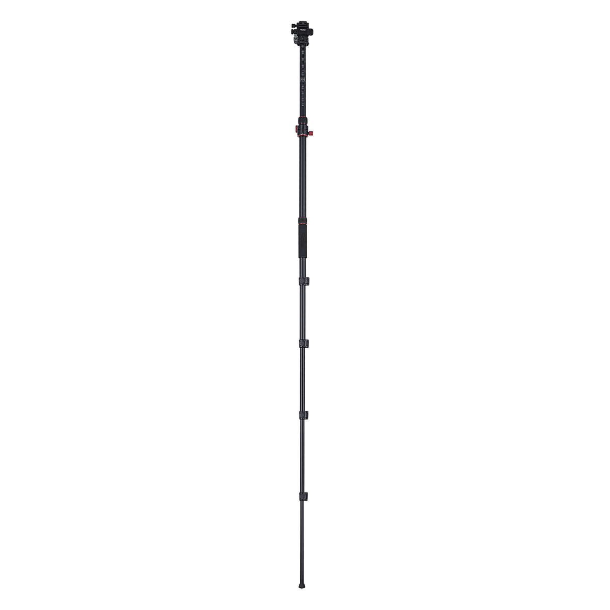 Stativ I Compact Traveler No.2 XL I Video