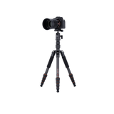 Stativ | Carbon | Compact Traveler No. 1