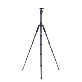 Stativ | Carbon | Compact Traveler No. 1