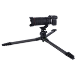Lion Rock Pro Instinct Video inkl. Stativkopf