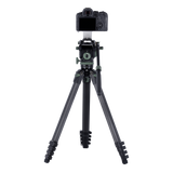 Lion Rock Pro Instinct Video inkl. Stativkopf