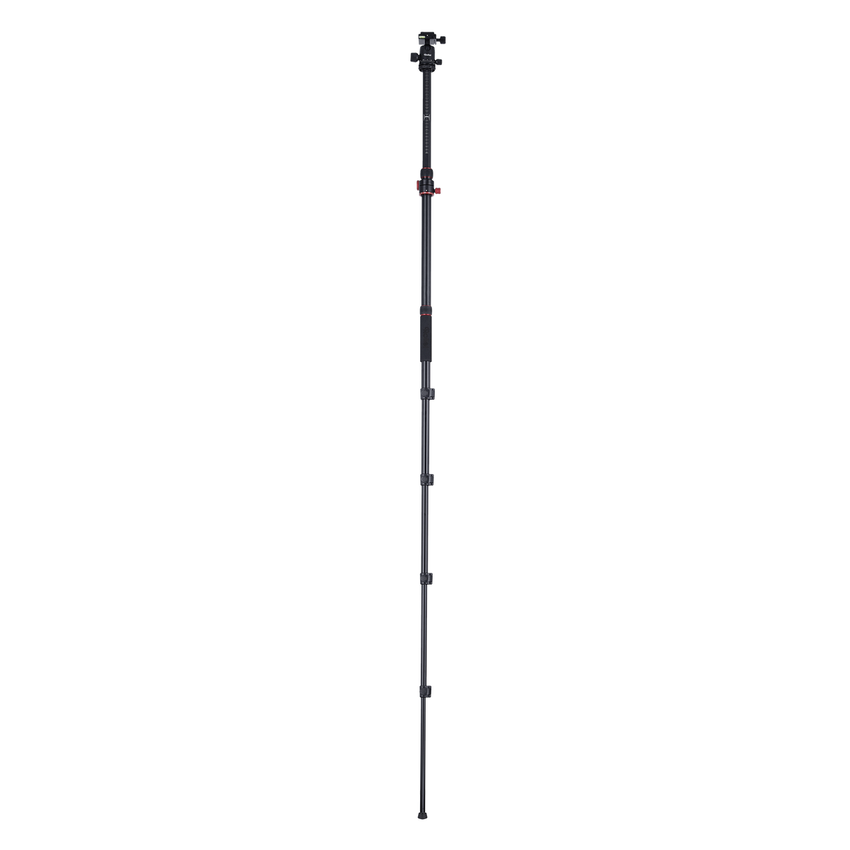 Stativ I Compact Traveler No.2 XL I Foto