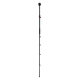 Stativ I Compact Traveler No.2 XL I Video